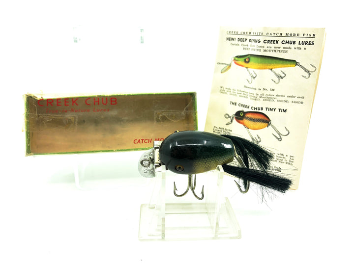 Creek Chub 5100 Dingbat, Perch Color 5101 with Box