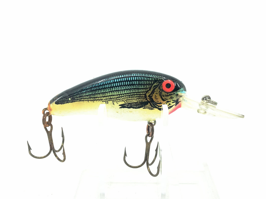 Bomber Flat A 2F, Coppernose Bluegill Color - Tough Color