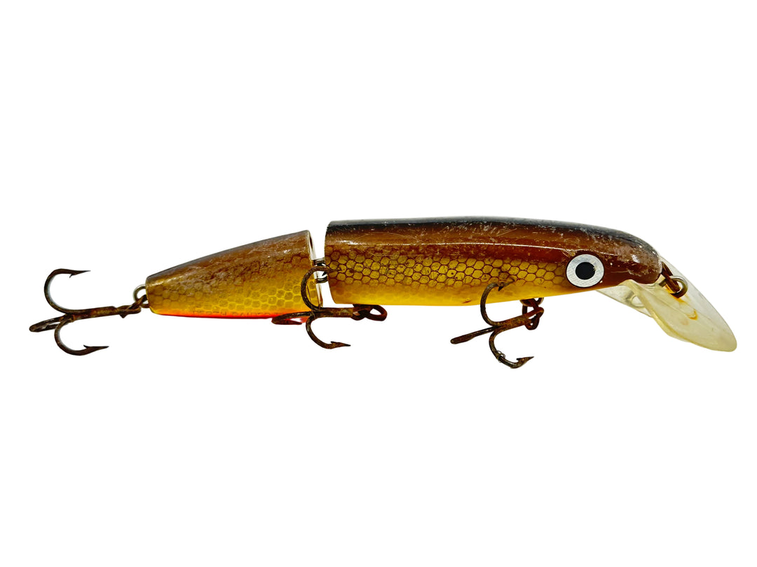 Joe Bucher Tackle Co. Buchertail Jointed Depth Raider 8", Walleye Color