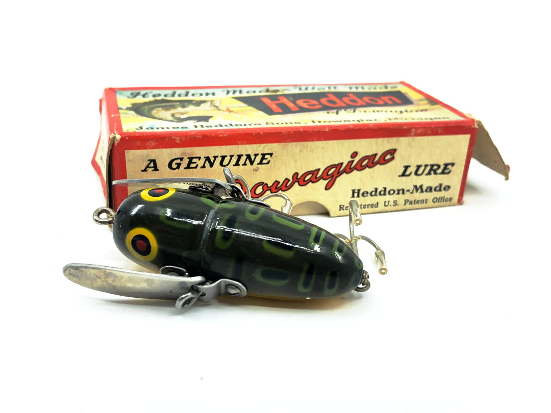 Heddon Crazy Crawler 2120, BF Bullfrog Color with Box