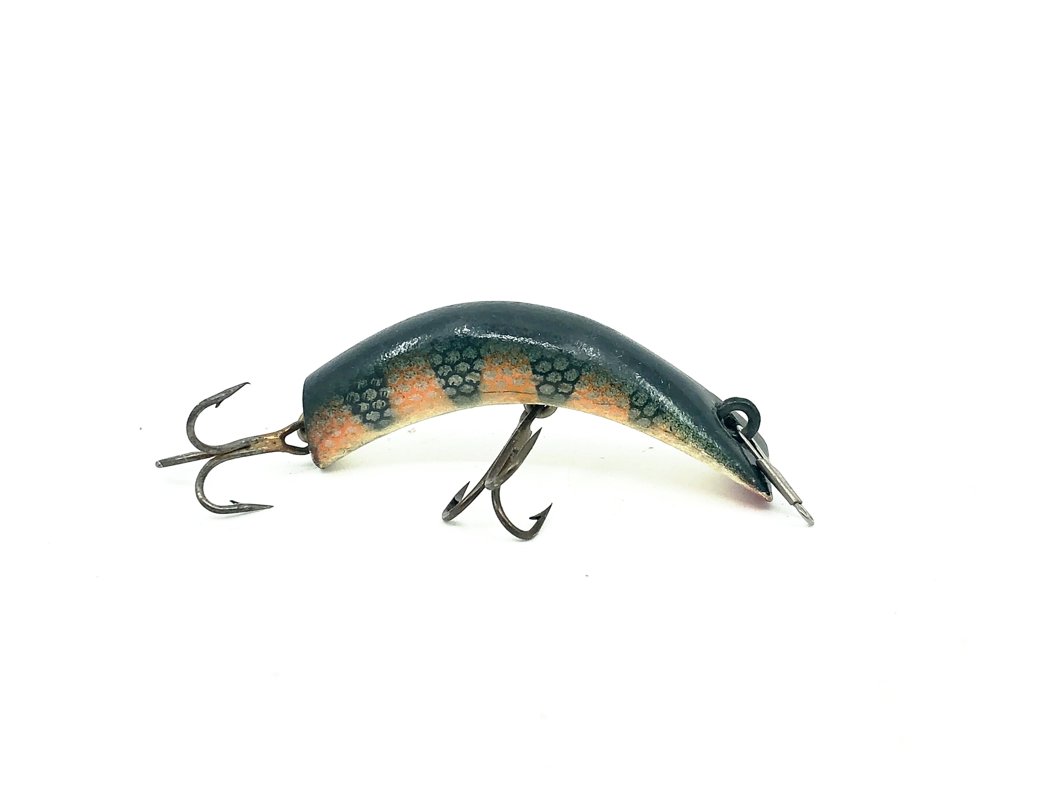 Newest Products