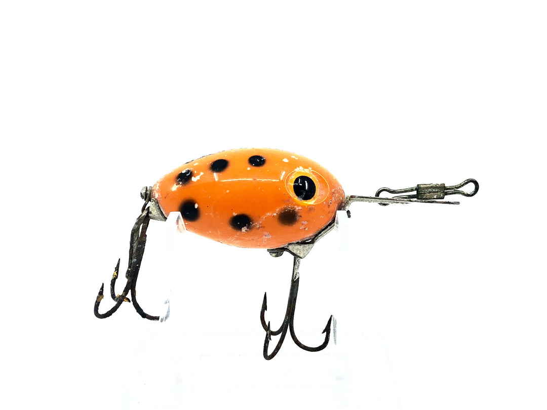 Arbogast Arbo-Gaster, Orange/Black Dots Color