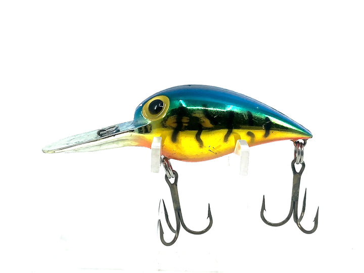 Storm Wiggle Wart V162 Metallic Blue Back/Gold Tiger/OB Color