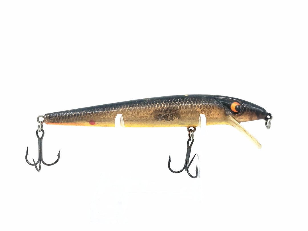 Smithwick Super Rogue, Gold Rogue Color