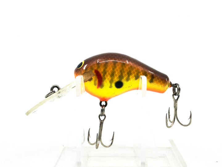 Bagley Divin' Kill'r B1 DKB1, DC9 Dark Crayfish on Chartreuse Color