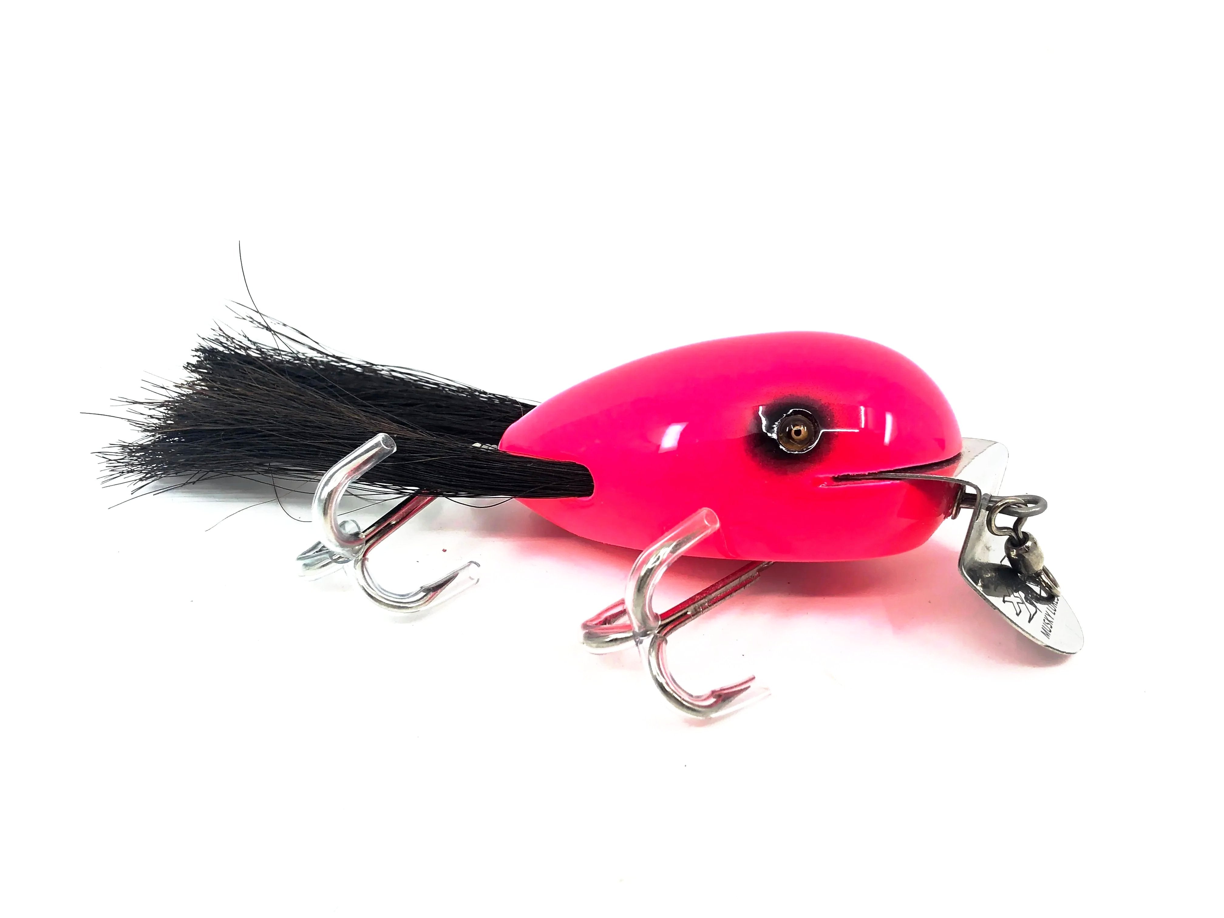 Newest Products