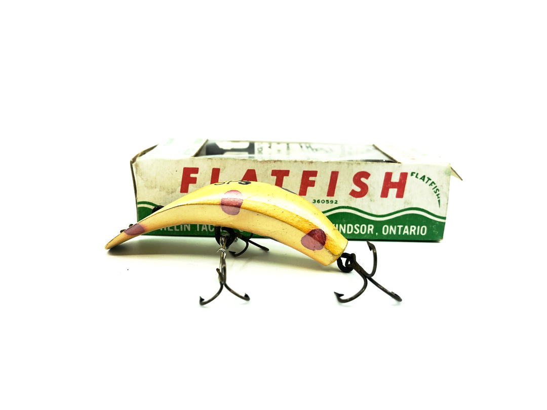 Helin Flatfish SPS, YEP Yellow Pearl Color with Box-Wooden