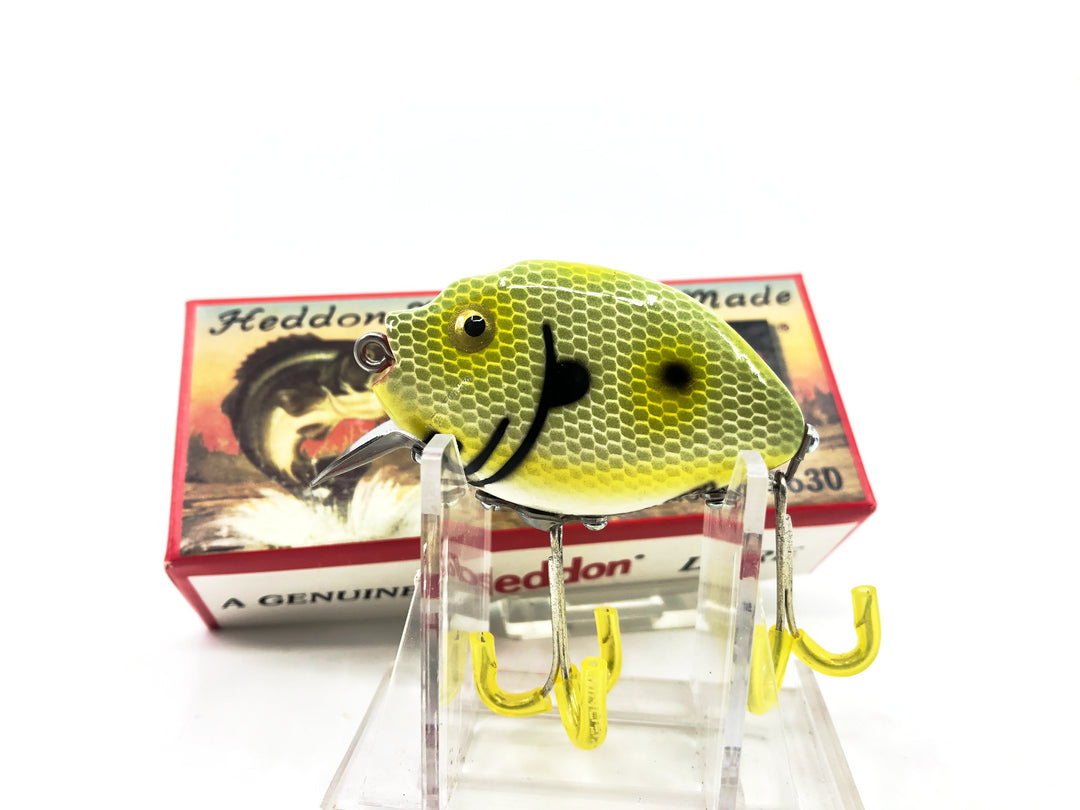 Heddon 9630 Punkinseed X9630J Frog Scale Color New in Box