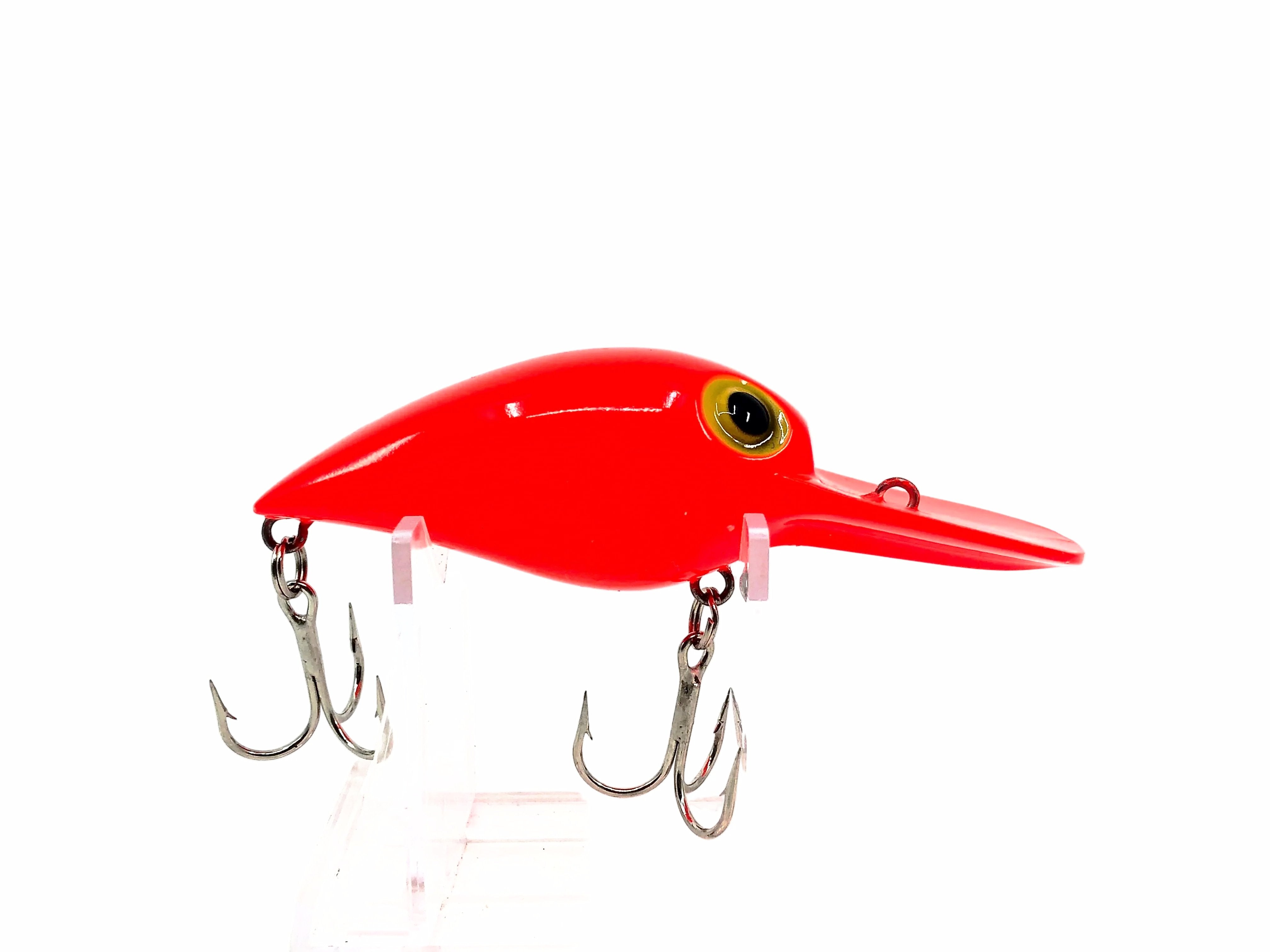 Newest Products