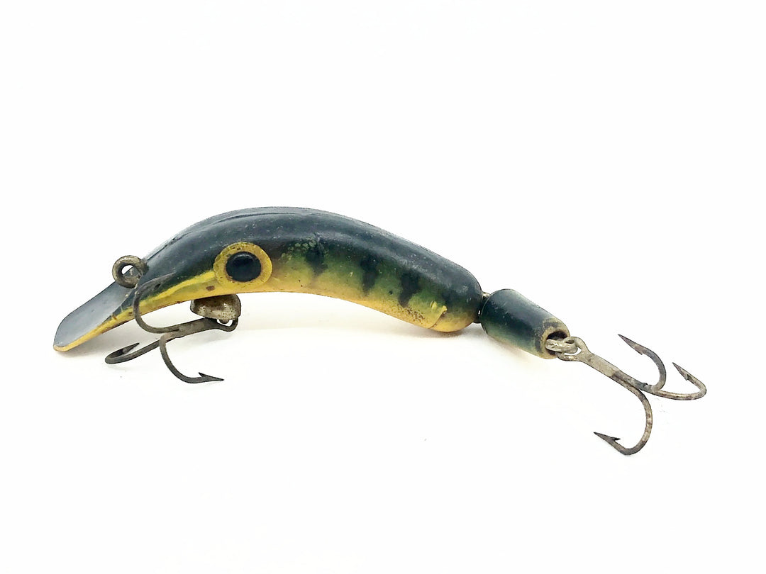 Jointed Beno, Perch Color