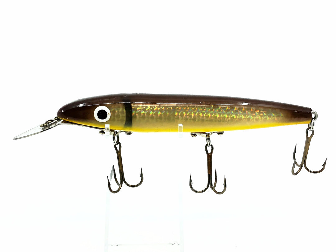 Cisco Kid 1800 Series Super Husky, Brown/Silver Color