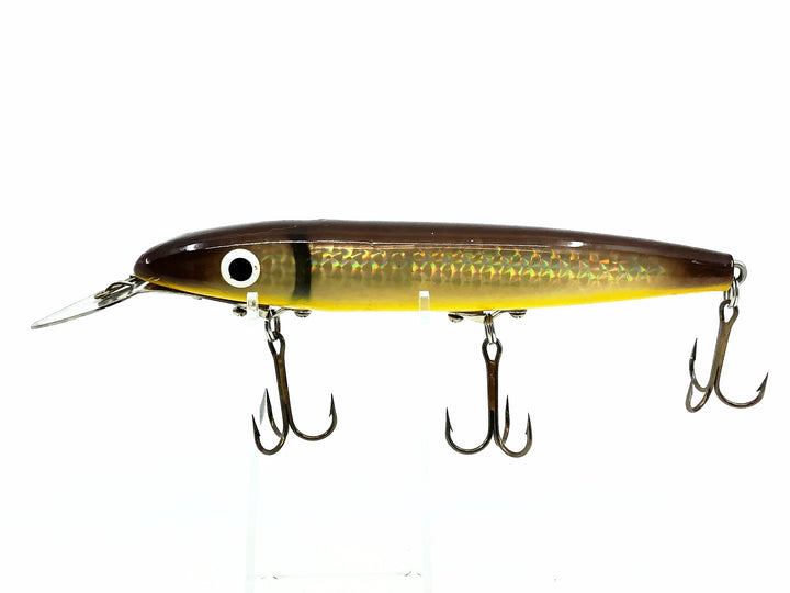 Cisco Kid 1800 Series Super Husky, Brown/Silver Color