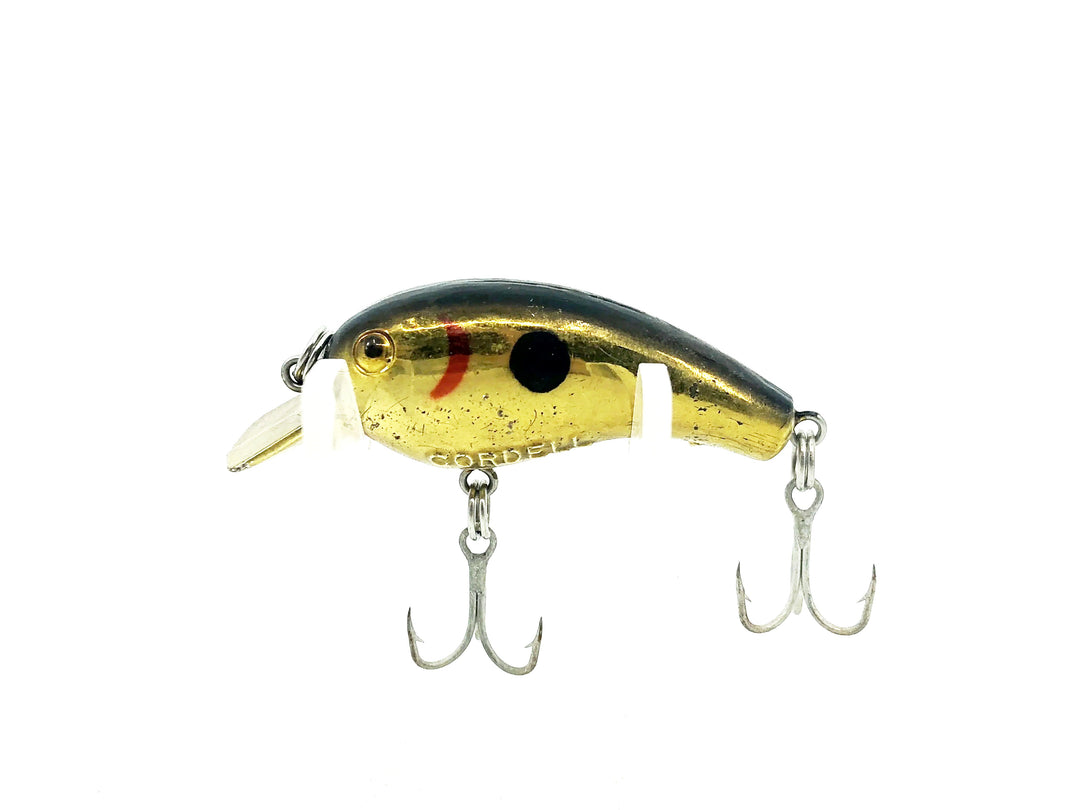 Cotton Cordell 7600 Big-O, Gold Black Back Color