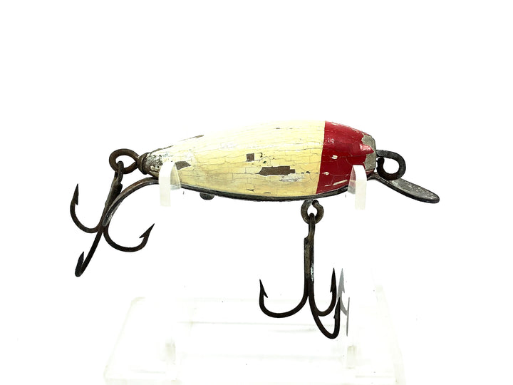 Keeling Tom Thumb, Red Head/White Color