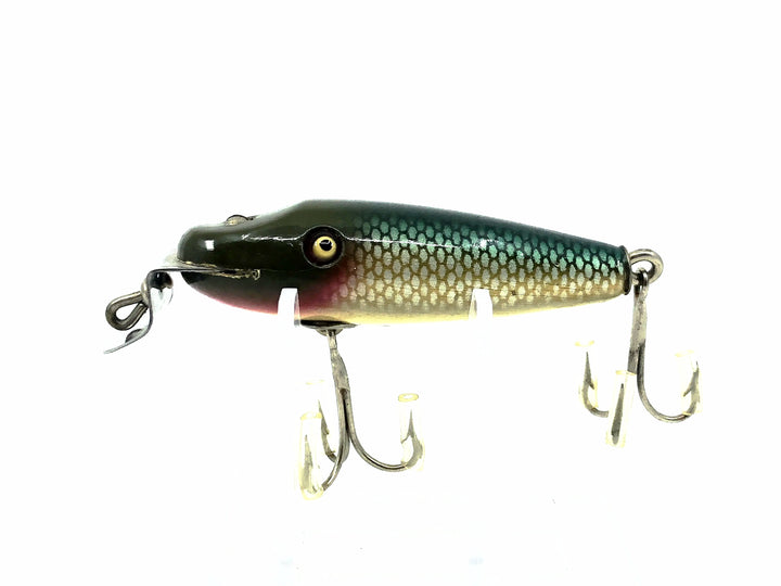Creek Chub River Scamp 4300 Chub Scale Color