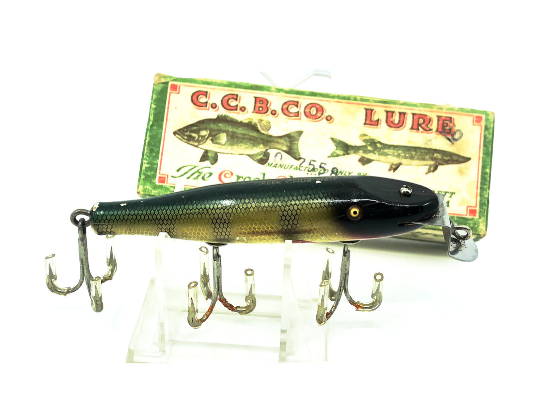 Creek Chub 700 Pikie, 701 Perch Color with Box