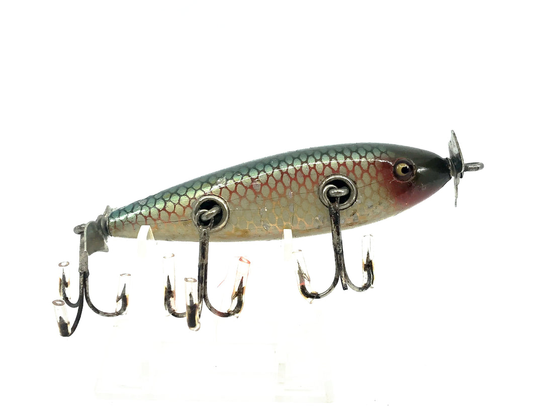 Creek Chub 1500 Injured Minnow / Flatside Chub, 1505 Red Side Color