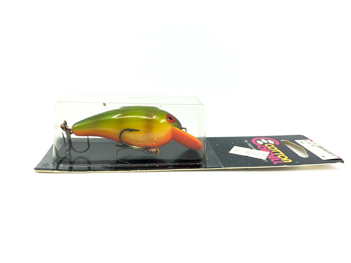 Cotton Cordell 7800 Big-O, #22 Perch Color on Card
