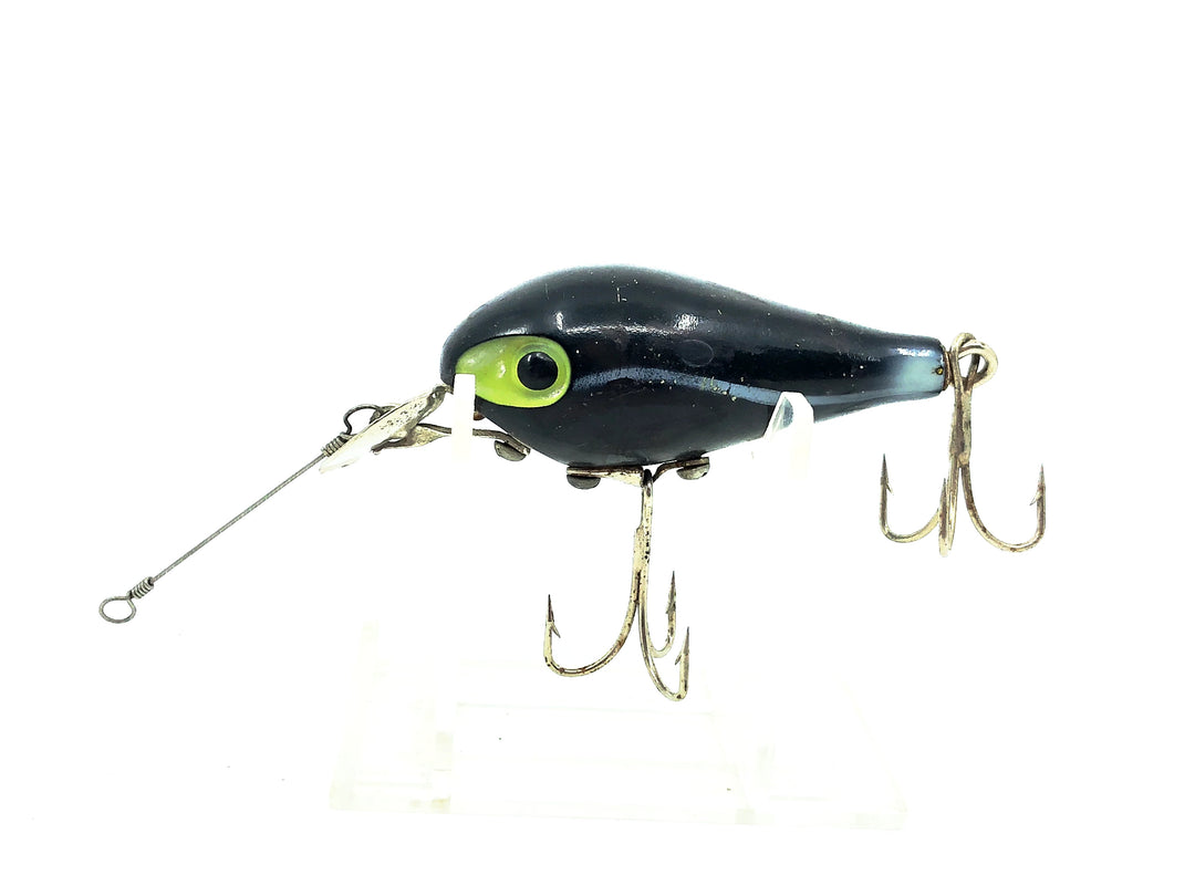 P&K Amazin Maizie, Black/Shadow Stripe Color