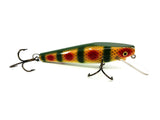 Wiley 6" Straight Deep Diver, Perch-Special (White Belly) Color