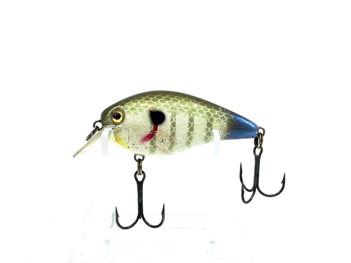 Strike King KVD Squarebill Crankbait, The Real Gill Color