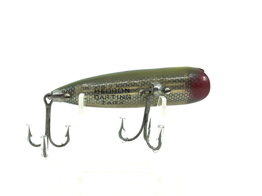 Heddon Darting Zara, BF Bullfrog Color