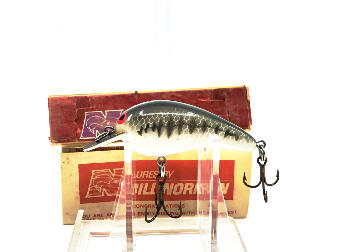 Norman Baby N 1950, #49 Baby Bass Color New in Box