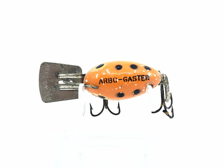 Arbogast Arbo-Gaster, Orange/Black Dots Color