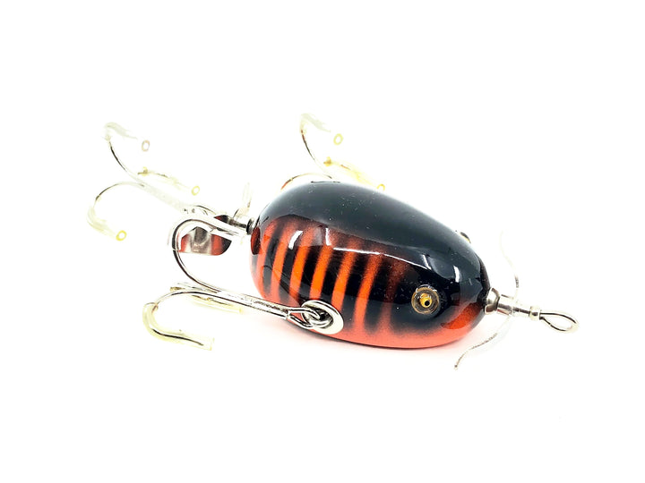 Musky Dan (XXX Lures) Kent Frog, Orange/Black Ribs Color
