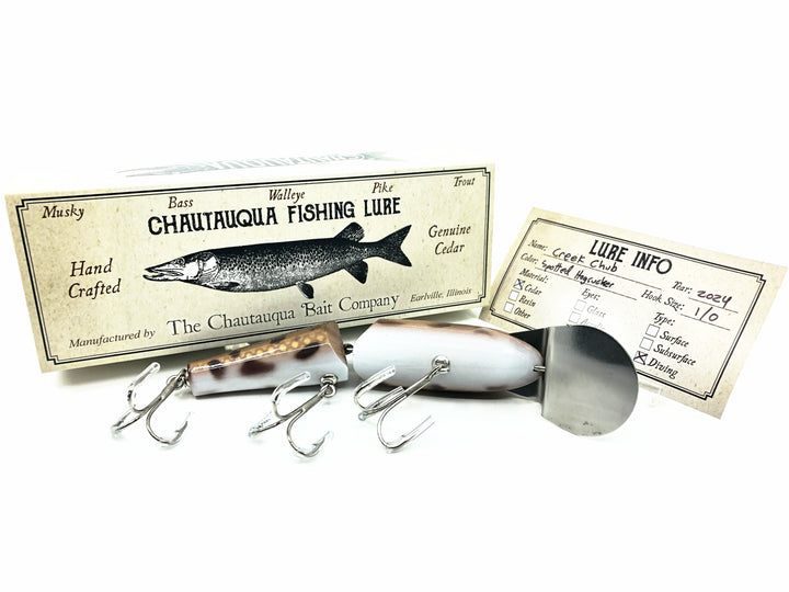 Chautauqua Jointed Creek Chub, Spotted Hogsucker Color