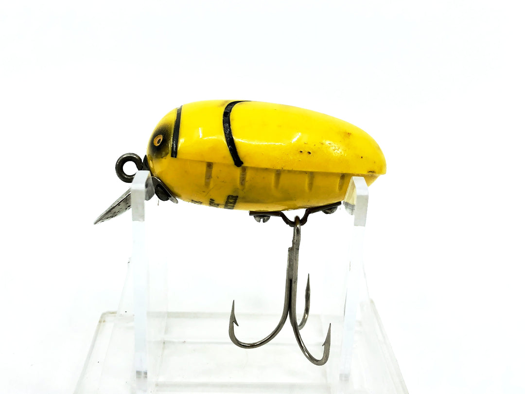 Millsite Rattle Bug, Yellow Bug Color
