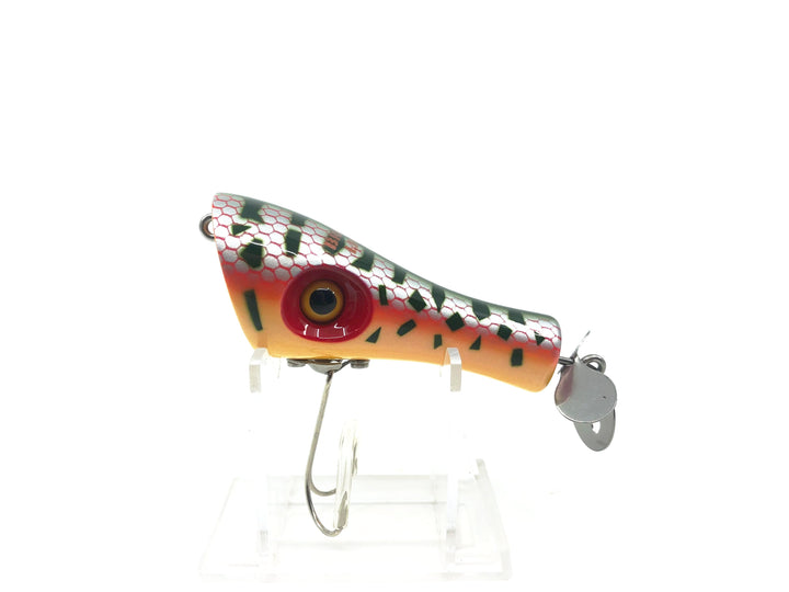 BrightLiver Popper, Red Coachdog Color with Box