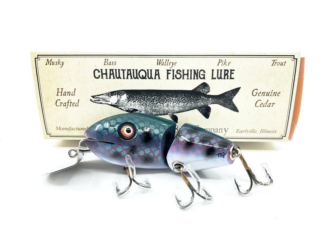 Chautauqua Wagtail, Purple Leopard Color