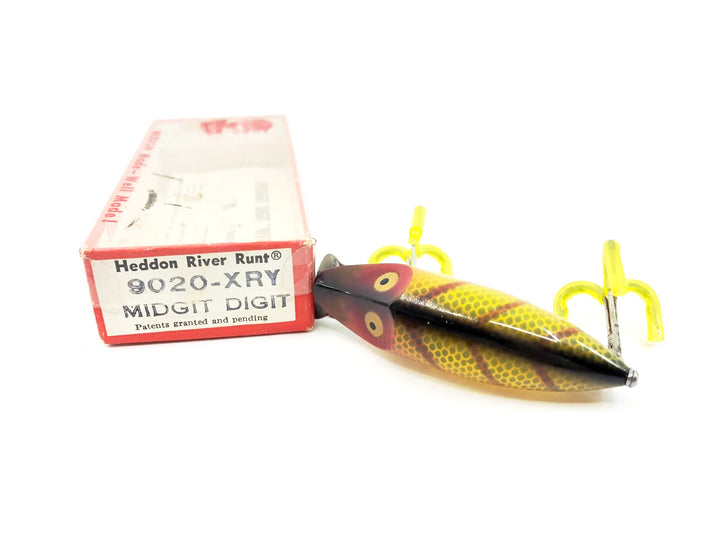 Heddon River Runt Spook Sinker Perch Color with Incorrect Box