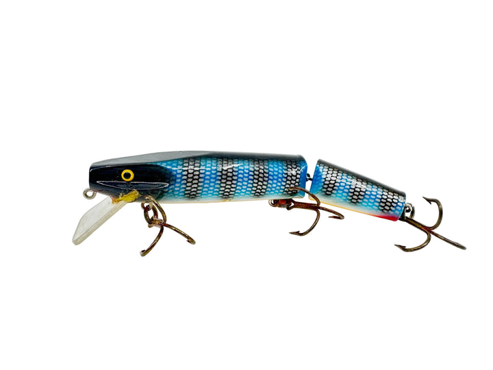 Wiley Jointed Musky Killer 6", Blue Scale/Black Ribs Color