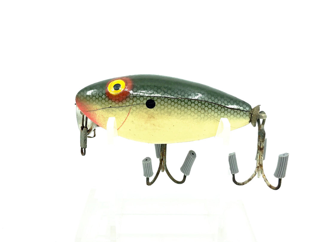 True Temper Crippled Shad, Shad Color