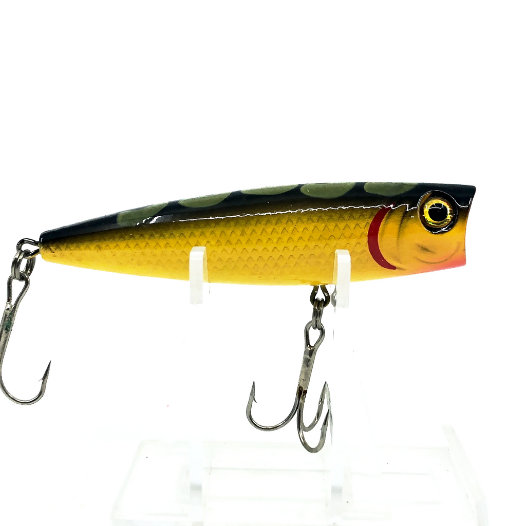 bass pro shop fishing lure colors Bass Pro Shops Tourney Special Popper, Frog Color – My Bait Shop, LLC