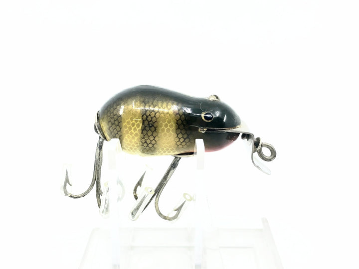 Creek Chub 6400 Tiny Tim, #01 Perch Scale Color