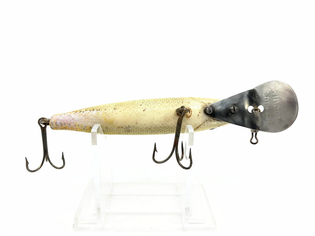 Bear Creek Sucker Minnow, Yellow Scale Color