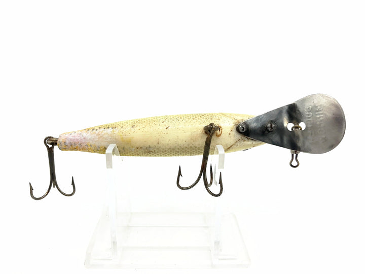 Bear Creek Sucker Minnow, Yellow Scale Color