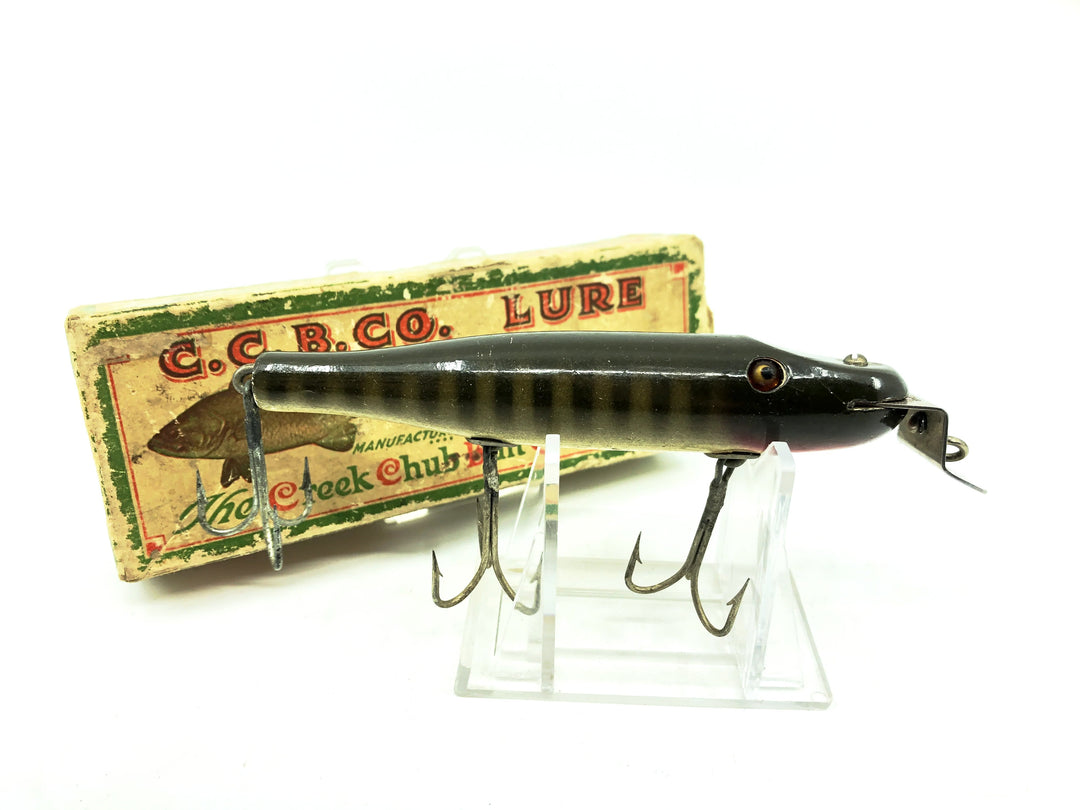 Creek Chub Pikie 700, Pikie Color with Box