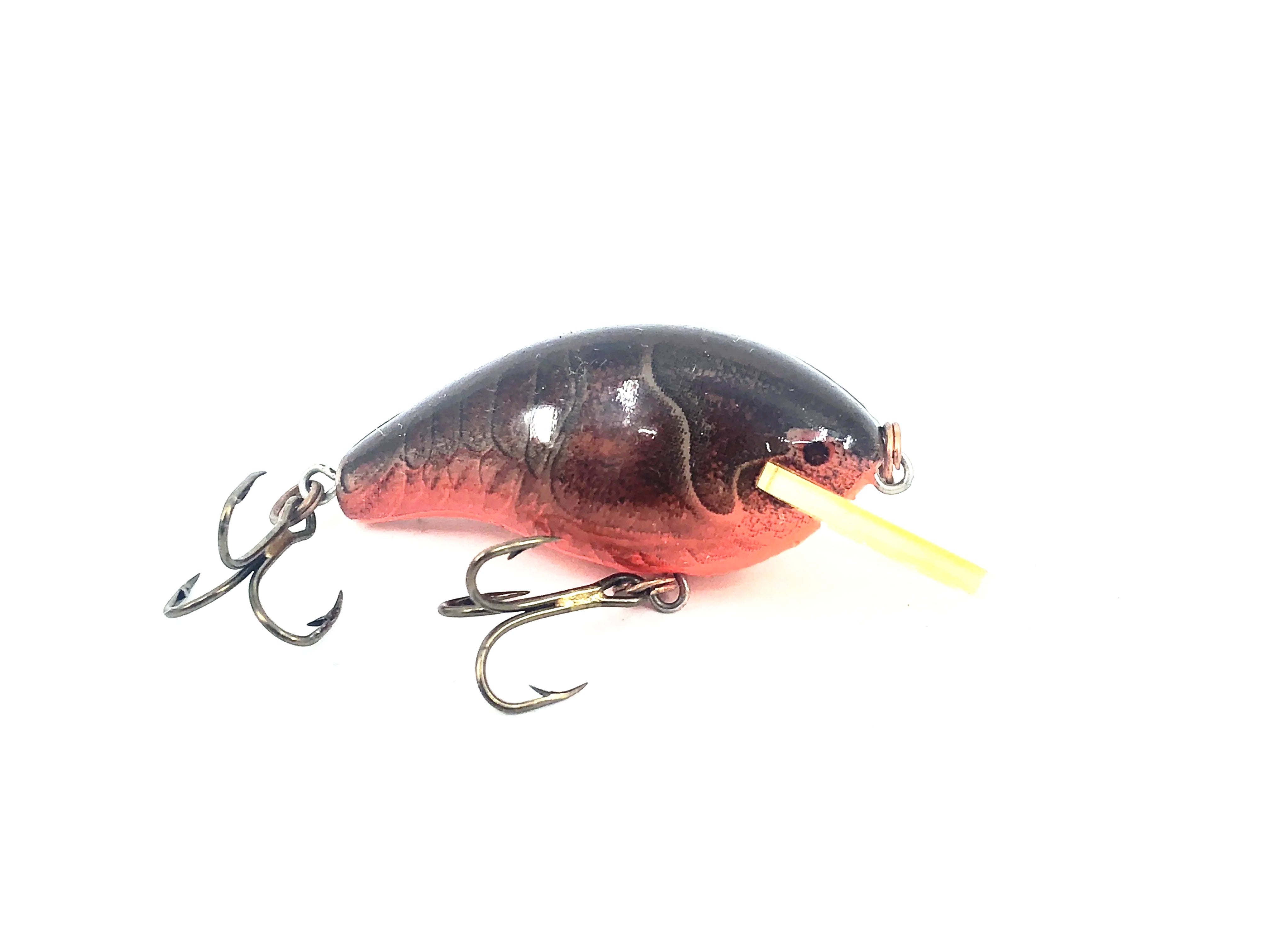 Newest Products