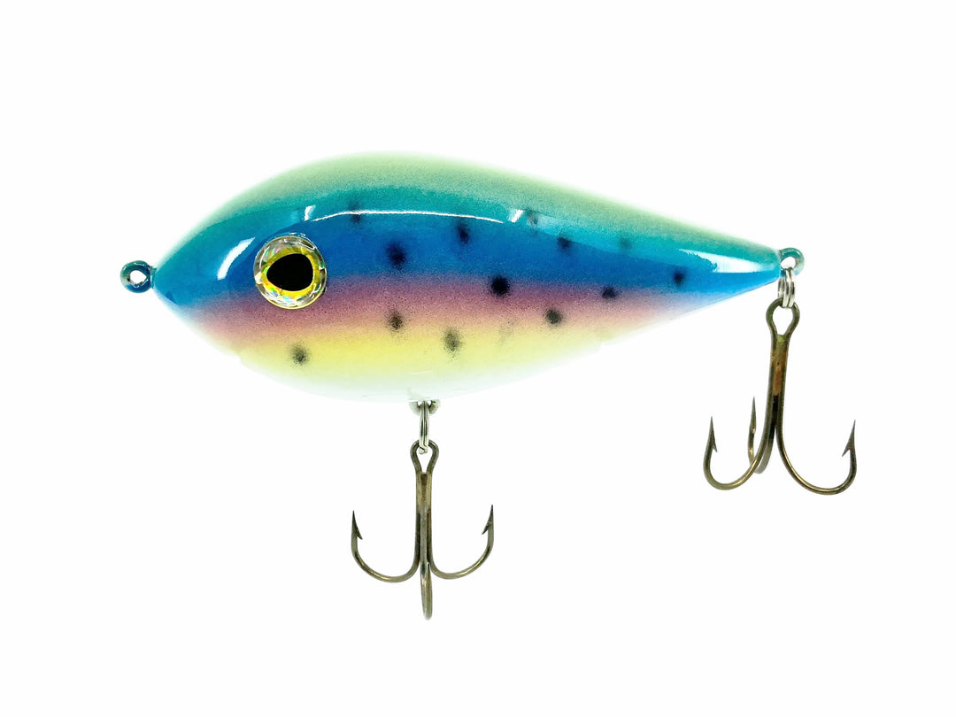 Casnea 4.5" Contemporary Lure, Rainbow Tout Color