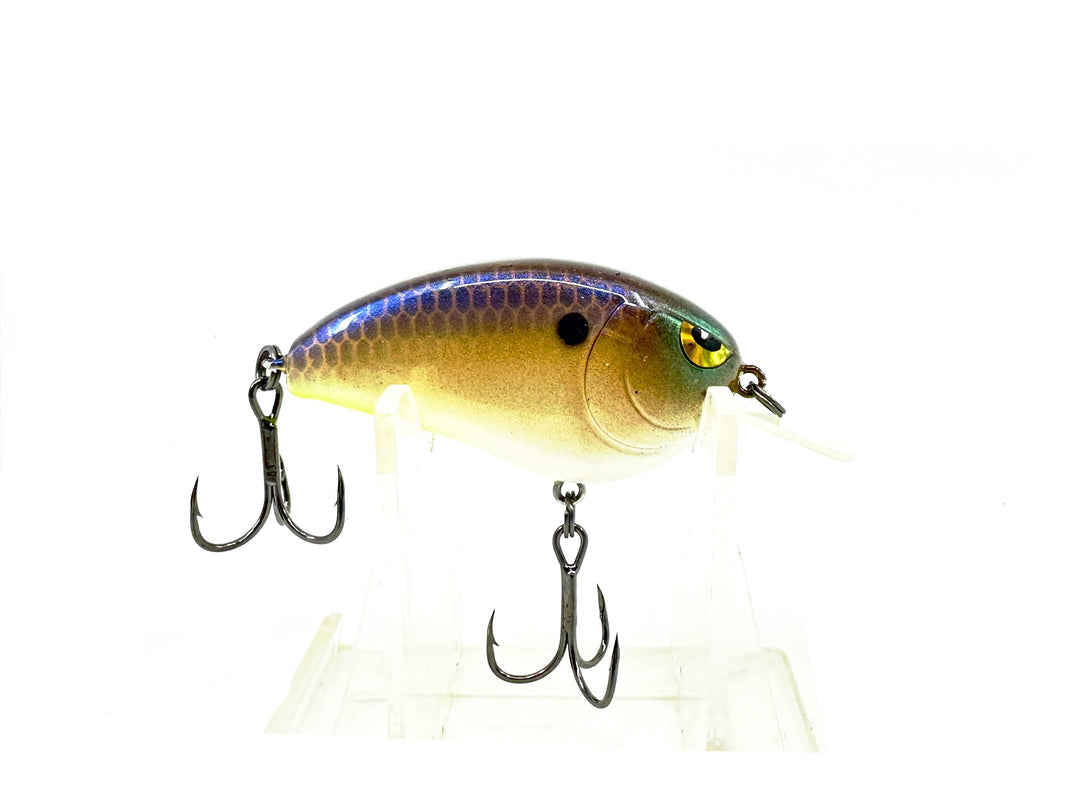 Dark Corner Custom Crankbaits Flatside, Sexy Shad Color