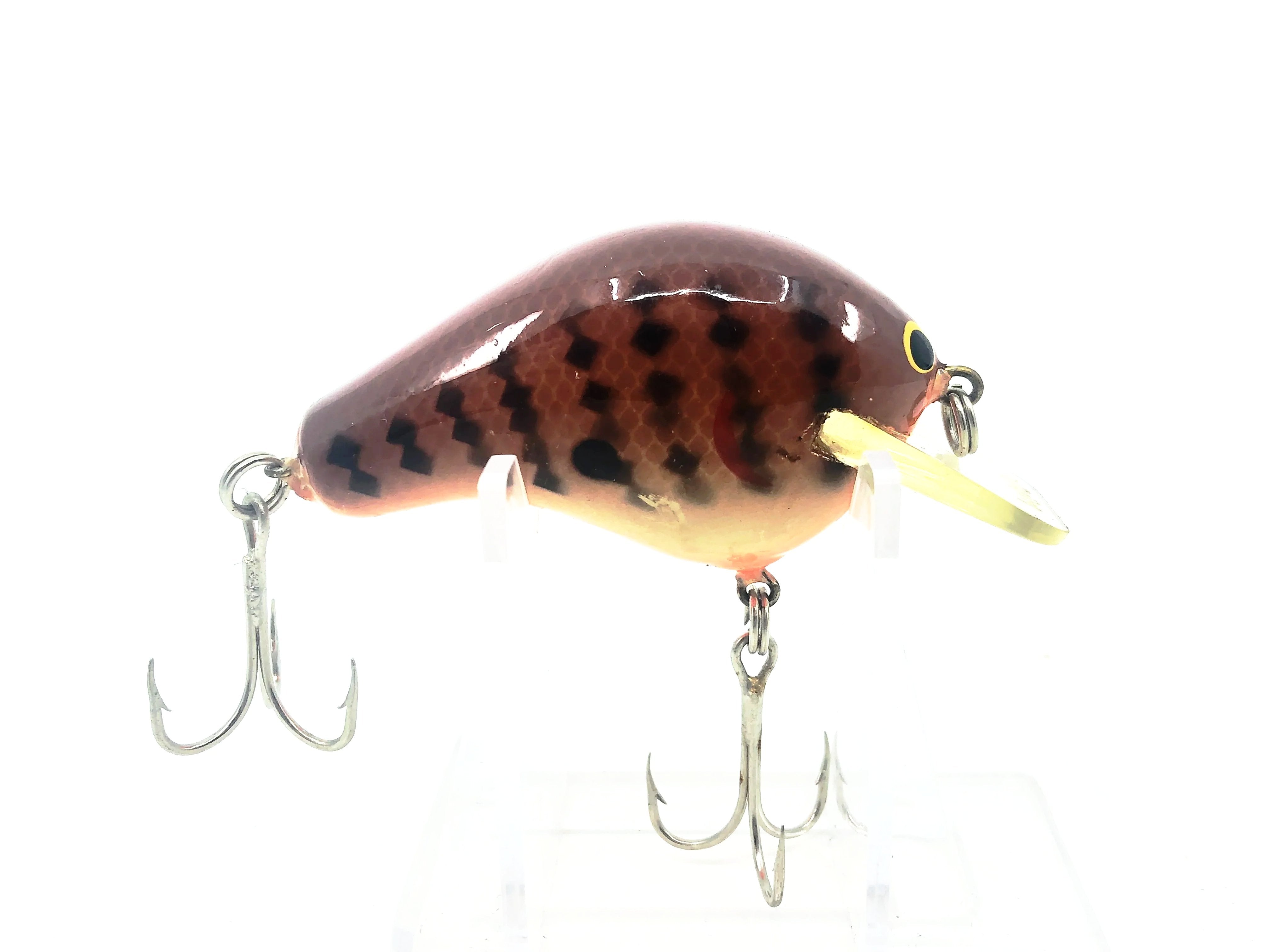 Newest Products