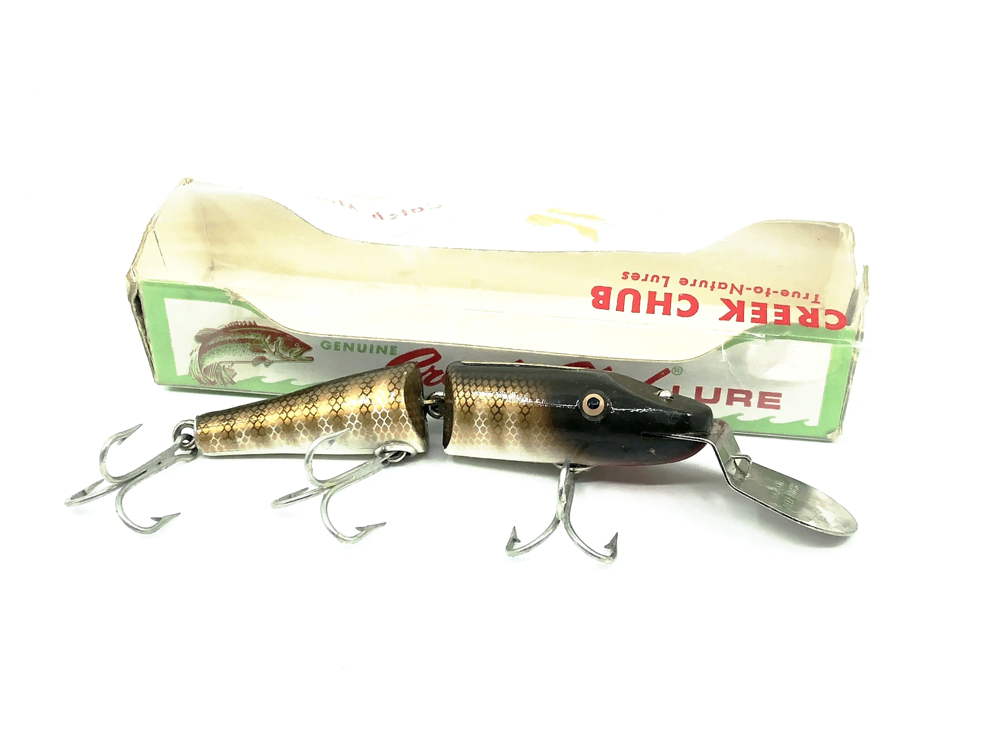 Newest Products