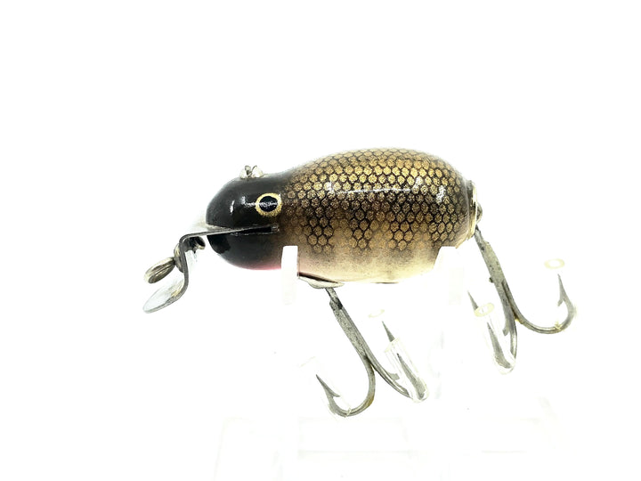 Creek Chub 6400 Tiny Tim, #00 Pikie Scale Color