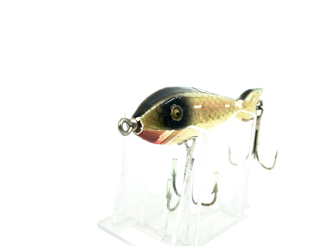 Heddon #600 Salterwater Special (Big Joe), 9P Shiner Scale Color
