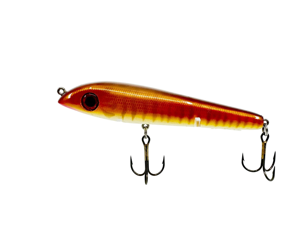 Big Fork Sand Cat, Brown Scale & Ribs Color