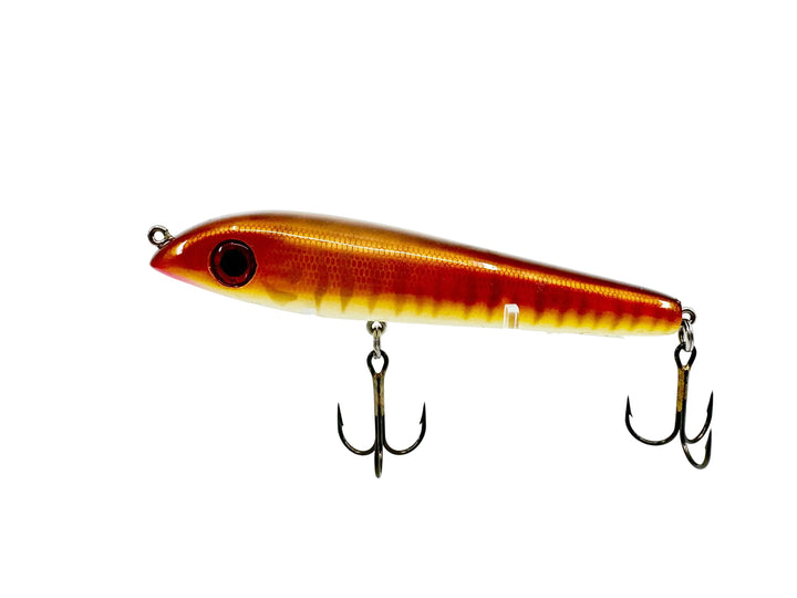 Big Fork Sand Cat, Brown Scale & Ribs Color